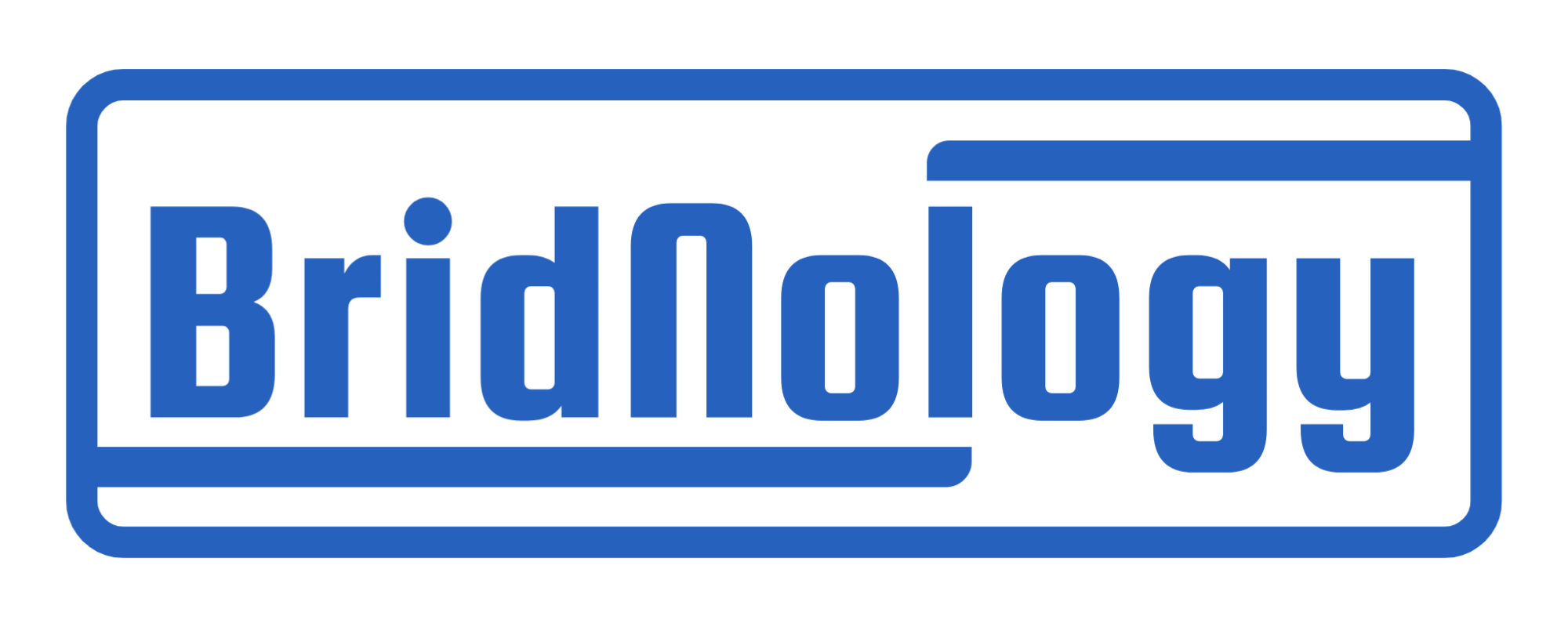 Logo Bridnology